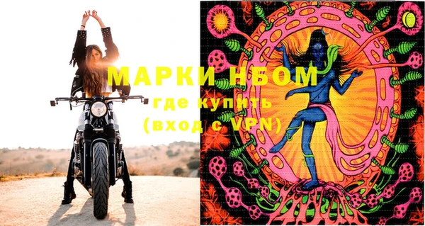 шишки Баксан