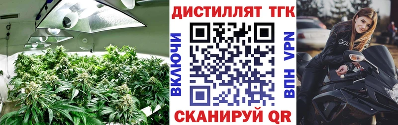 ТГК THC oil  где купить наркоту  Йошкар-Ола 