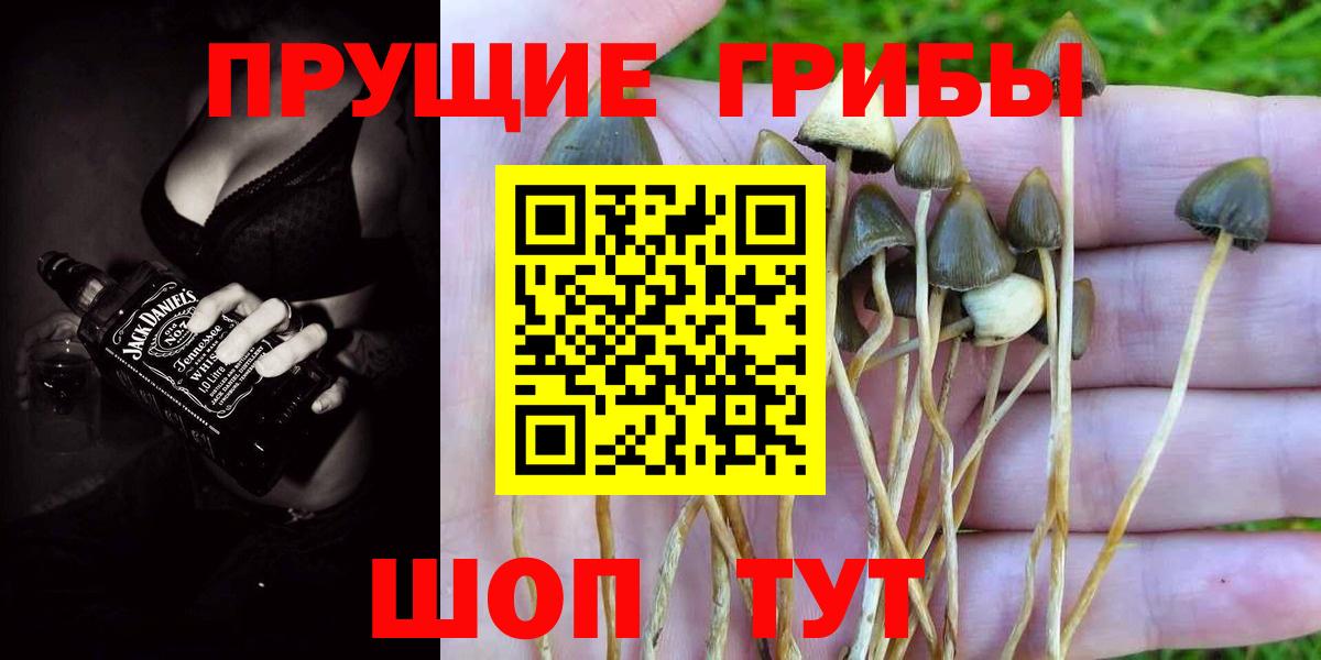 Йошкар-Ола  Галлюциногенные грибы Psilocybine cubensis  Вход с VPN  Галлюциногенные грибы ЛСД 